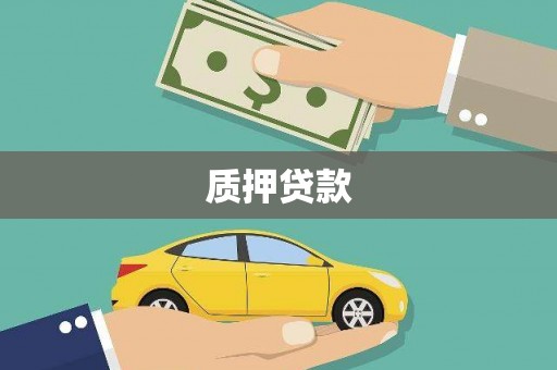 凤岗质押贷款