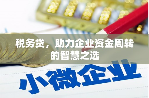 凤岗税务贷，助力企业资金周转的智慧之选