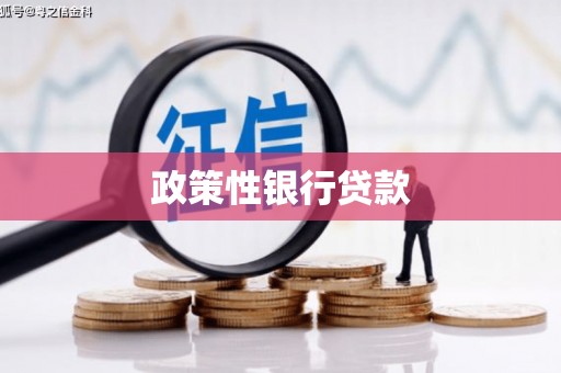 凤岗政策性银行贷款