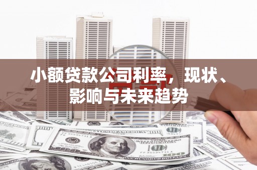 凤岗小额贷款公司利率，现状、影响与未来趋势
