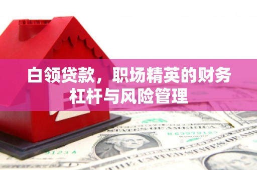 凤岗白领贷款，职场精英的财务杠杆与风险管理