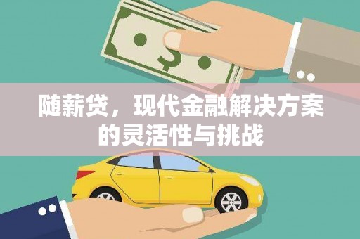 凤岗随薪贷，现代金融解决方案的灵活性与挑战