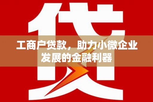 凤岗工商户贷款，助力小微企业发展的金融利器