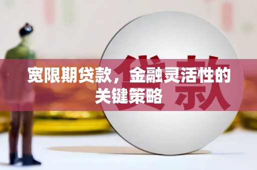 凤岗宽限期贷款，金融灵活性的关键策略