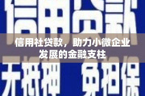 凤岗信用社贷款，助力小微企业发展的金融支柱