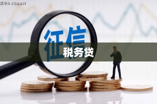 凤岗税务贷