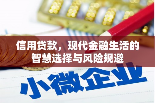凤岗信用贷款，现代金融生活的智慧选择与风险规避