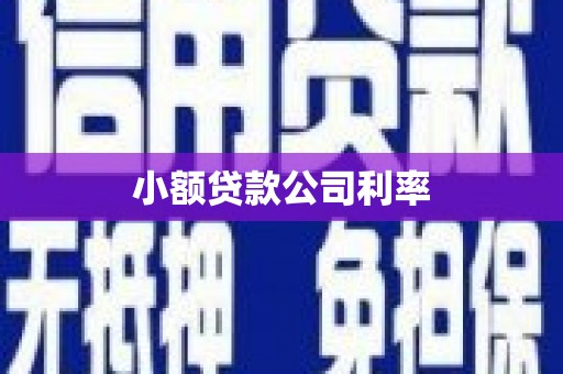凤岗小额贷款公司利率