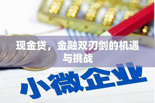 凤岗现金贷，金融双刃剑的机遇与挑战
