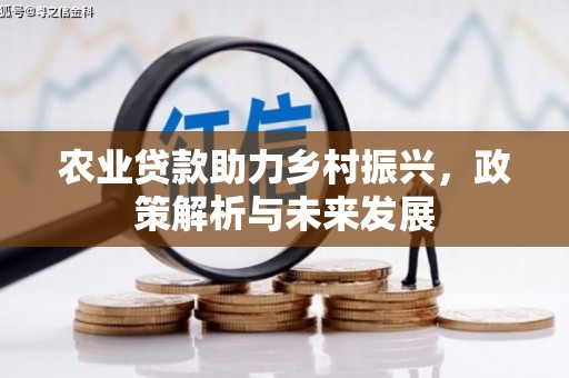 凤岗农业贷款助力乡村振兴，政策解析与未来发展