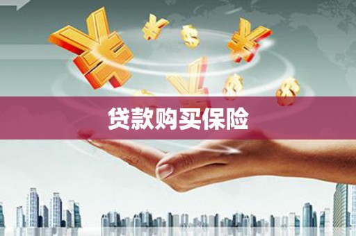 凤岗贷款购买保险