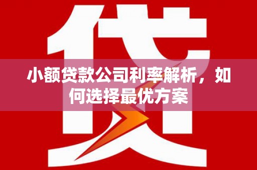 凤岗小额贷款公司利率解析，如何选择最优方案