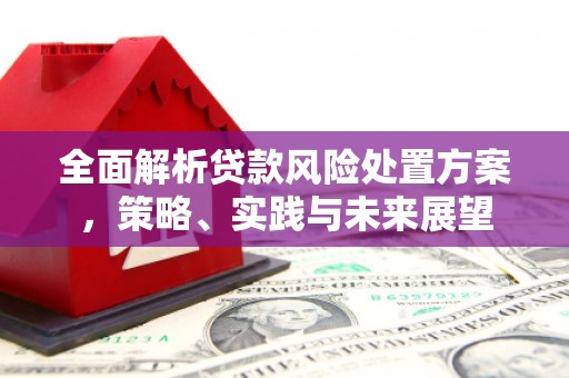 凤岗全面解析贷款风险处置方案，策略、实践与未来展望