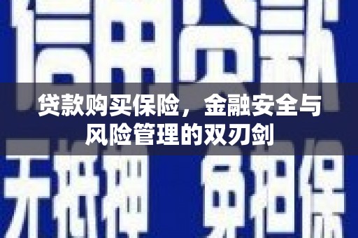 凤岗贷款购买保险，金融安全与风险管理的双刃剑