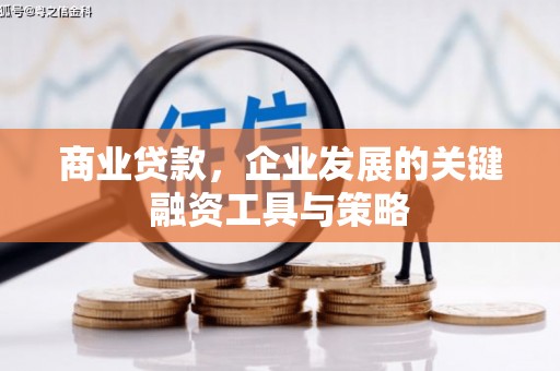 凤岗商业贷款，企业发展的关键融资工具与策略