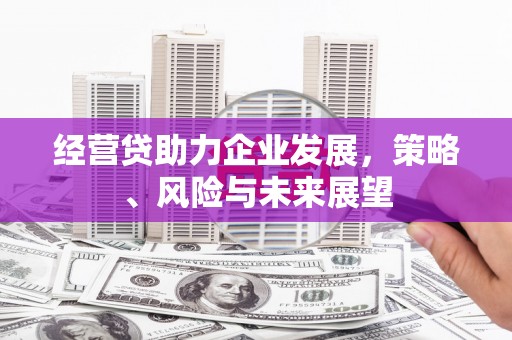 凤岗经营贷助力企业发展，策略、风险与未来展望
