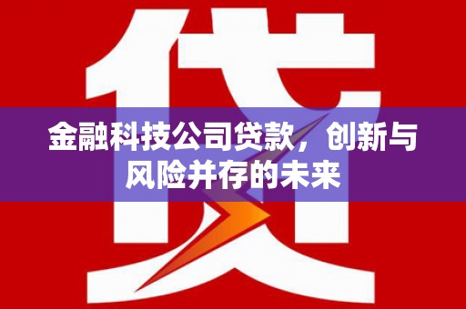 凤岗金融科技公司贷款，创新与风险并存的未来