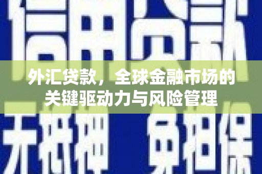 凤岗外汇贷款，全球金融市场的关键驱动力与风险管理