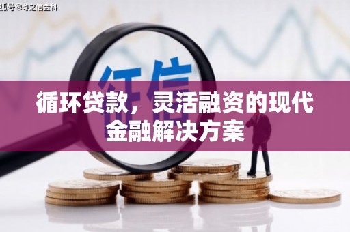 凤岗循环贷款，灵活融资的现代金融解决方案