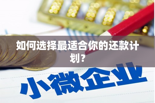 凤岗如何选择最适合你的还款计划？