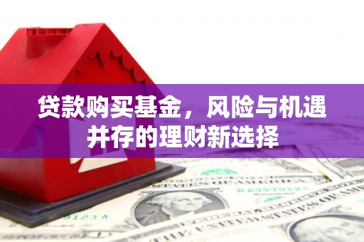 凤岗贷款购买基金，风险与机遇并存的理财新选择
