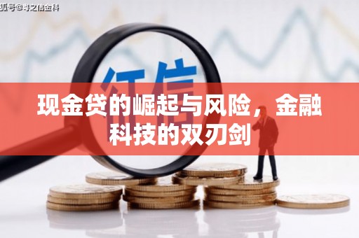 凤岗现金贷的崛起与风险，金融科技的双刃剑