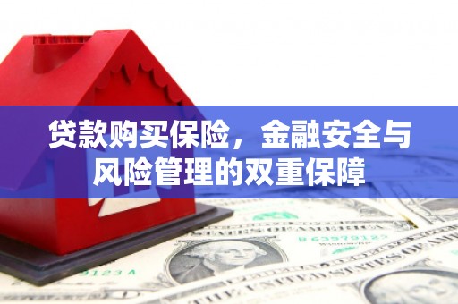 凤岗贷款购买保险，金融安全与风险管理的双重保障