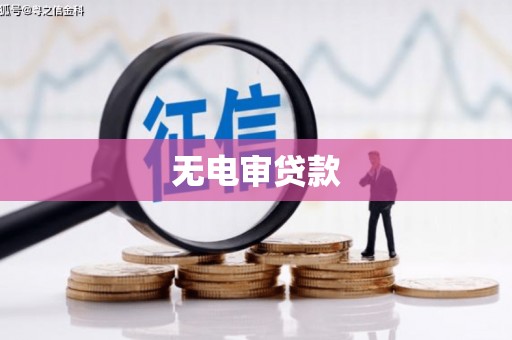 凤岗无电审贷款