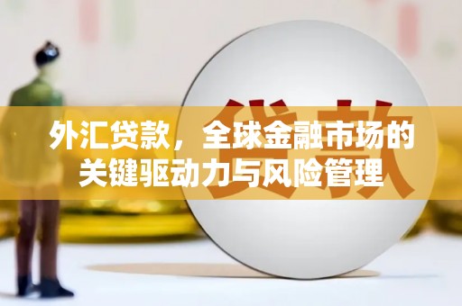 凤岗外汇贷款，全球金融市场的关键驱动力与风险管理