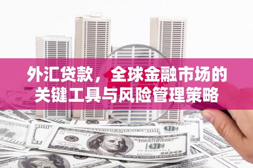 凤岗外汇贷款，全球金融市场的关键工具与风险管理策略
