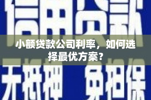 凤岗小额贷款公司利率，如何选择最优方案？