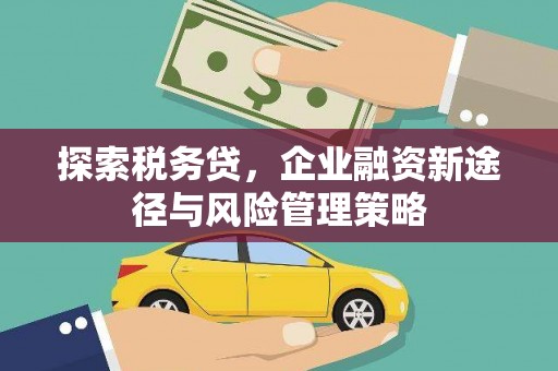 凤岗探索税务贷，企业融资新途径与风险管理策略