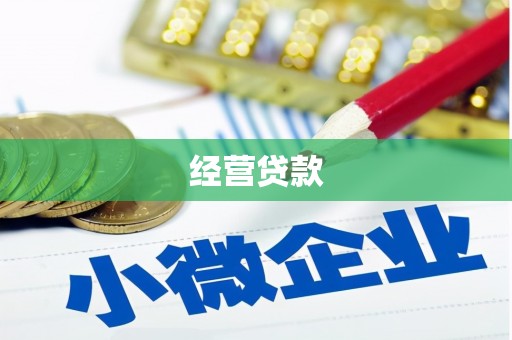 凤岗经营贷款