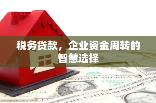 凤岗税务贷款，企业资金周转的智慧选择