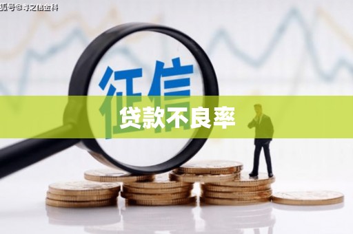 凤岗贷款不良率