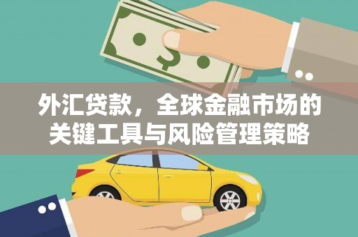 凤岗外汇贷款，全球金融市场的关键工具与风险管理策略