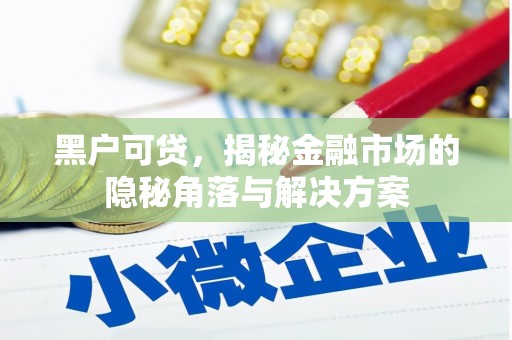 凤岗黑户可贷，揭秘金融市场的隐秘角落与解决方案
