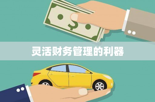 凤岗灵活财务管理的利器