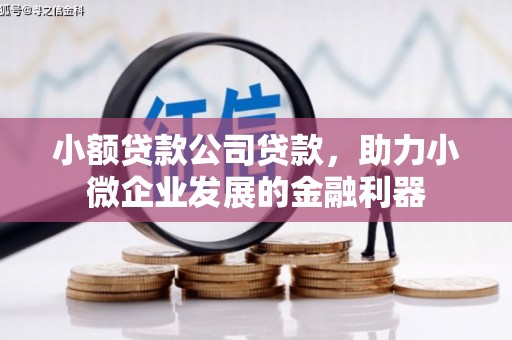 凤岗小额贷款公司贷款，助力小微企业发展的金融利器