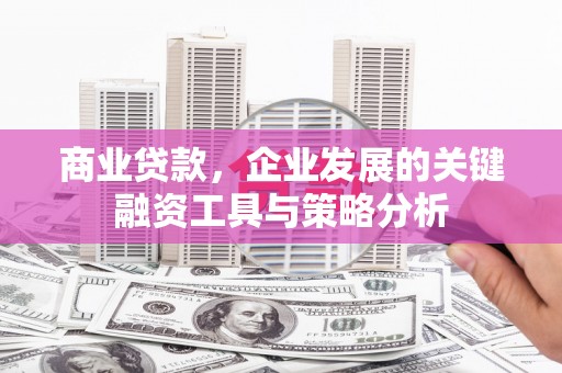 凤岗商业贷款，企业发展的关键融资工具与策略分析