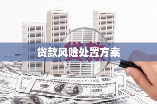 凤岗贷款风险处置方案