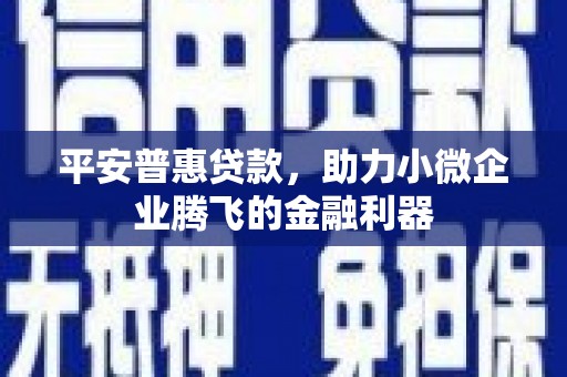 凤岗平安普惠贷款，助力小微企业腾飞的金融利器