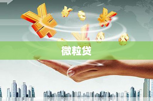 凤岗微粒贷