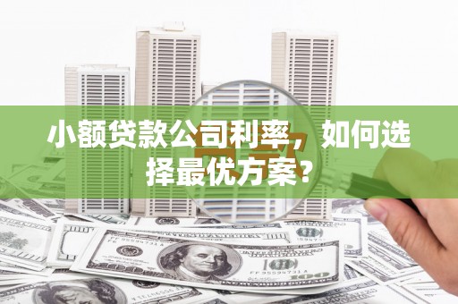 凤岗小额贷款公司利率，如何选择最优方案？