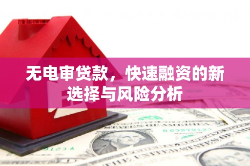 凤岗无电审贷款，快速融资的新选择与风险分析