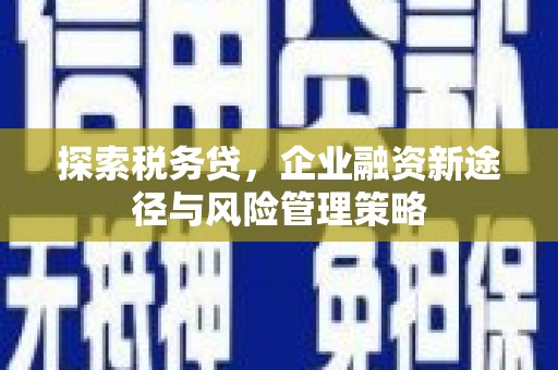 凤岗探索税务贷，企业融资新途径与风险管理策略