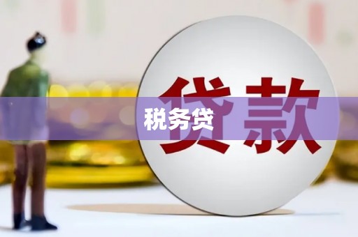 凤岗税务贷