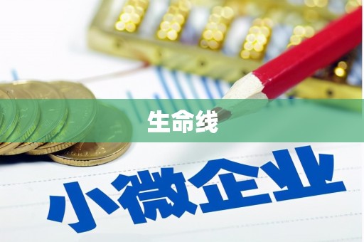 凤岗生命线