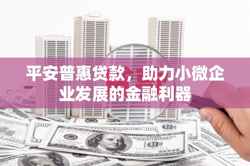 凤岗平安普惠贷款，助力小微企业发展的金融利器