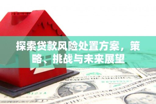 凤岗探索贷款风险处置方案，策略、挑战与未来展望